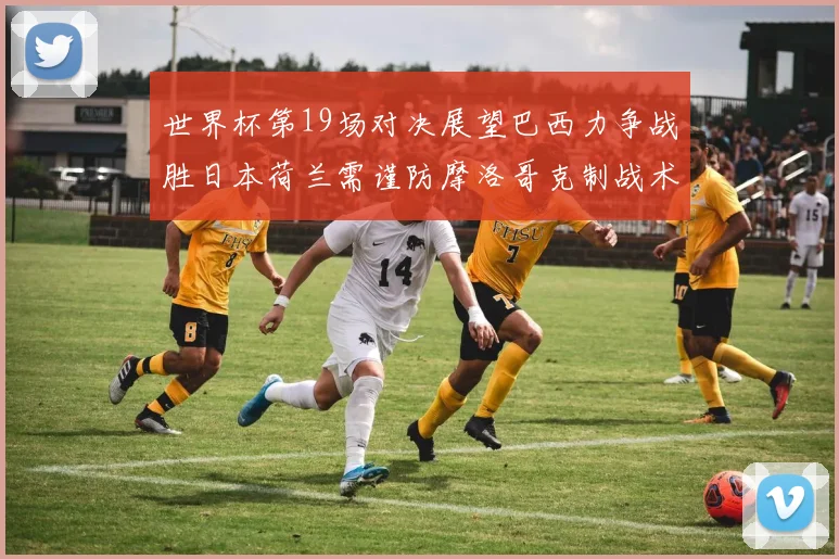 世界杯第19场对决展望巴西力争战胜日本荷兰需谨防摩洛哥克制战术