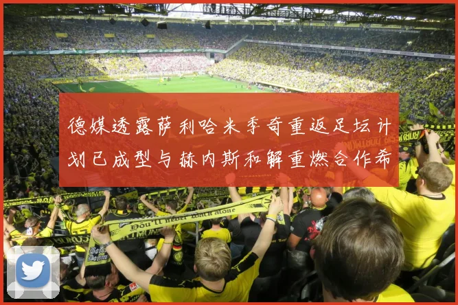 德媒透露萨利哈米季奇重返足坛计划已成型与赫内斯和解重燃合作希望