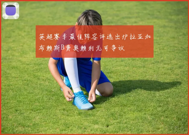 英超赛季最佳阵容评选出炉拉亚加布赖斯B费奥赖利无可争议