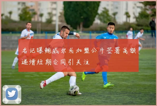 名记曝鲍威尔或加盟公牛签署高额递增短期合同引关注